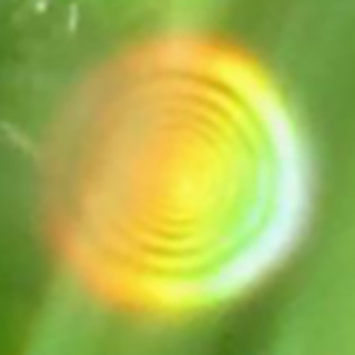 orbs 220